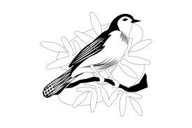 florida state bird mockingbird svg