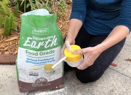 diatomaceous earth for pets