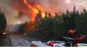 Landes. Ce que l'on sait de l'incendie qui a ravagé 200 hectares de forêt à  Saint-Justin | Actu Landes