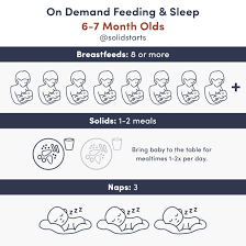 baby feeding schedules 6 to 24 months