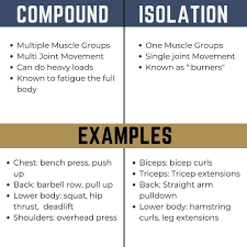 compound vs isolation exercises