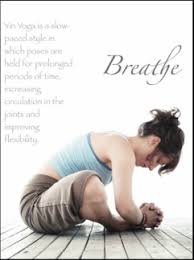 As fall begins to settle in, the cool breezes begin to pick up, foreshadowing of the coming of a snowy and cold winter. Yang Yin Yoga