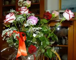 Ecco un elenco di rose senza spine (o quasi ), a fiore bianco: Rose Rosaceae Come Curare Coltivare E Far Fiorire Le Piante Di Rosa