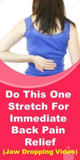 Get a back pain stretching exercise program to help reduce back pain, improve mobility, and prevent back injuries. Pin On Back Pain