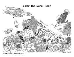 In case you don\'t find what you are looking for. Pin By Rich Tygart On Random Coral Reef Pictures Coral Reef Drawing Super Coloring Pages