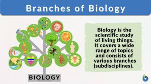 branches of biology biology