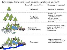 What Do Ecologists Study Science Posse University Of Wyoming