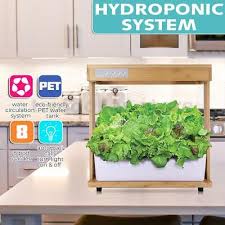 Uk Hydroponics Growing System Indoor