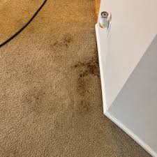 roto carpet cleaning 66 photos 7422