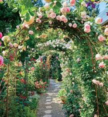 Create A Beautiful Rose Garden Garden