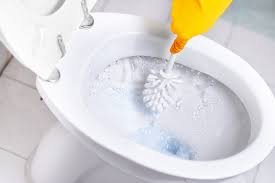 properly clean a toilet bowl brush