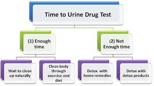 How Long Does Weed Thc Stay In Your Urine Everything