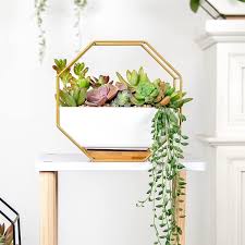 Succulent Wall Planter Wall Hanging