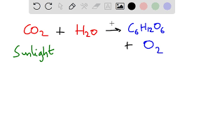 Navah Writes Out The Chemical Equation