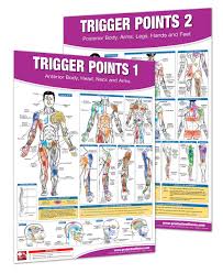 Trigger Point Therapy Chart Poster Set Acupressure Charts