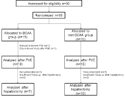 Flowchart Of The Participants In The Study Bcaa