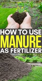 manure for fertilizer