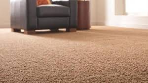 best 15 carpet cleaners in memphis tn