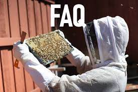 bee removal faq frequently asked