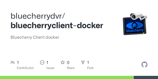 client docker container in linux mint