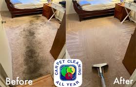 downey ca all year carpet cleaning