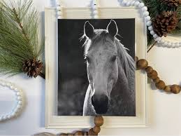 Cowboy Art Print White Horse Face Print