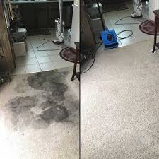 carpet cleaners concord ca carpet