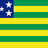 Bandeira oficial do estado de goiás bordada. 1