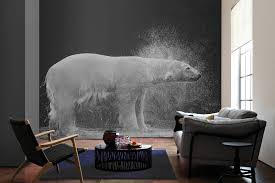photo wallpaper wet polar bear against