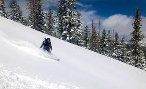 Visitors arriving from california can stay informed through the. The Winter That Won T End May Skiing Powder Day In Lake Tahoe