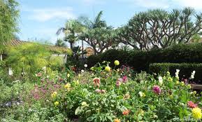 Southern California Botanical Gardens