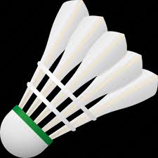 Having the best badminton equipment available will never replace the amount of skill and fitness needed to excel in this sport. Badminton Equipment Feathers Shuttlecock Sports Icon Download On Iconfinder