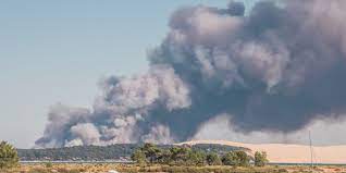 Gironde: 600 hectares de forêt brûlés dans un incendie en cours