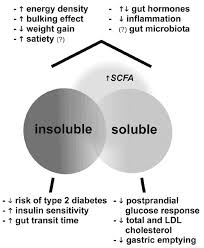 Insulin Ancestral Knowledge For A Modern World