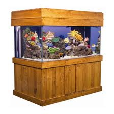 bob s tropical fish aquariums by size