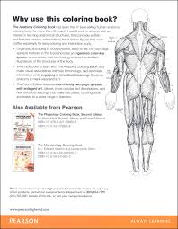 Muscles coloring page teach kids about major muscles like biceps and quadriceps, where they are located, and actions they are used for with the labeled diagram on this muscles worksheet. Anatomy Coloring Book 4ed Benjamin Cummings Publishing 9780321832016