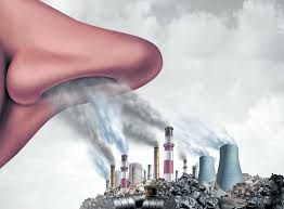Image result for pollution