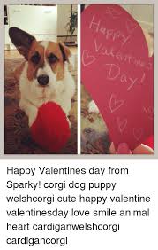 My fiends i'm giving a shout out to tatteredfangs: A D A Happy Valentines Day From Sparky Corgi Dog Puppy Welshcorgi Cute Happy Valentine Valentinesday Love Smile Animal Heart Cardiganwelshcorgi Cardigancorgi Corgi Meme On Me Me