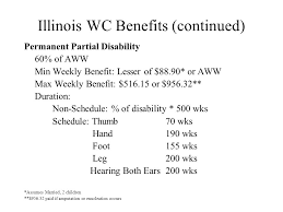 Todays Agenda Types Of Injuries Illinois Wc Benefits Ppt