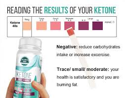The Ultimate Guide To Ketone Testing Thediabetescouncil Com