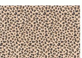 cheetah print rug ibm rug0904xs