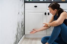 removing mildew smell