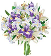 bouquet png vector images with