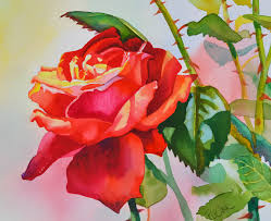 red rose flower painting p j cook