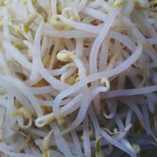 bean sprouts and nutrition facts