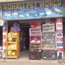 Maybe you would like to learn more about one of these? Top 100 Pet Shops In Chandigarh Best Pet Store Suppliers Justdial