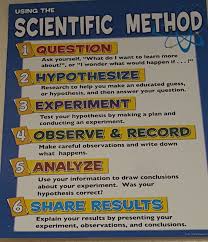 Science Mrs Martins Classroom Website