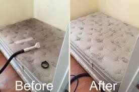 brisbane carpet cleaning and upholstery