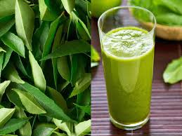கறிவேப்பிலை ஜூஸ் குடித்தால் உடலில் என்னென்ன பிரச்சனைகள் சரியாகும்னு  தெரியுமா? | How To Use Curry Leaf (kadi patta) Juice For Gastric Problem &  Diarrhoea - Tamil BoldSky