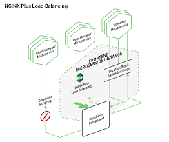 web frontend with microservices